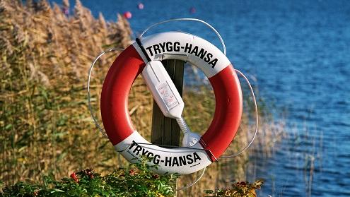 Trygg-Hansa